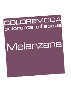 ESTRO - COLORE MODA COLORANTE ALL'ACQUA ML 40 MELANZANA