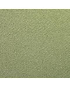 Clairefontaine 90884C Confezione Carta Etival, 29.7 x 21 x 0.1 cm, Verde Mandorla